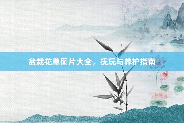 盆栽花草图片大全，抚玩与养护指南