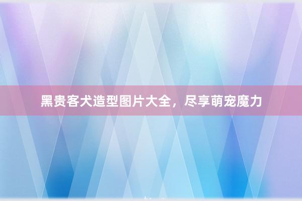 黑贵客犬造型图片大全,尽享萌宠魔力