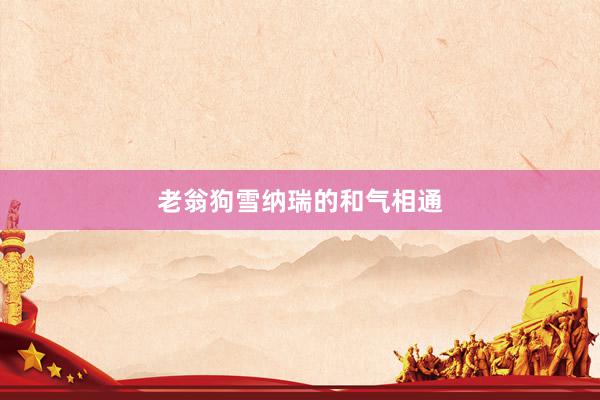 老翁狗雪纳瑞的和气相通