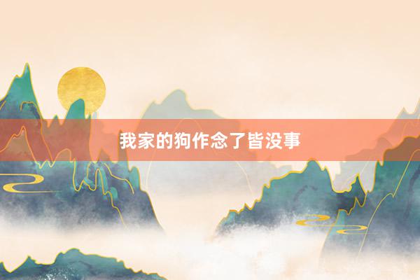 我家的狗作念了皆没事